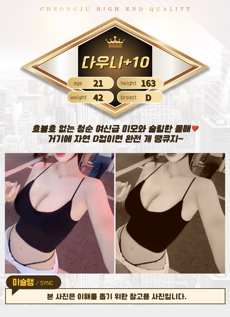 다우니.jpg